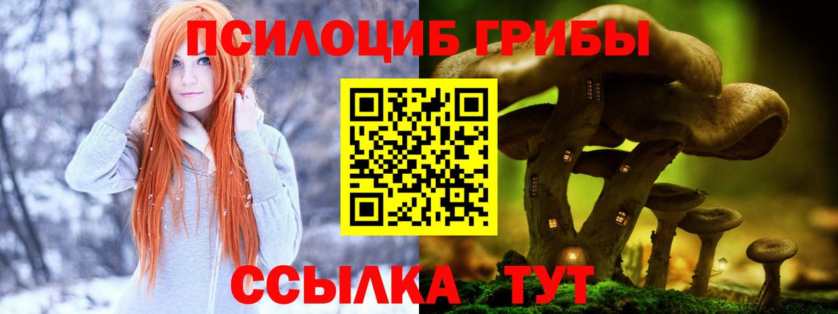 Лесной  Галлюциногенные грибы MAGIC MUSHROOMS  Вход с VPN 